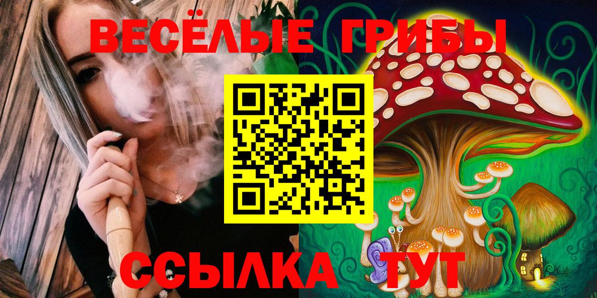 Ишим  Галлюциногенные грибы ЛСД  Галлюциногенные грибы Psilocybe  цены   Вход с VPN 