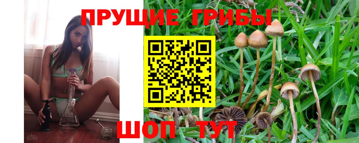 Галлюциногенные грибы ЛСД Ишим