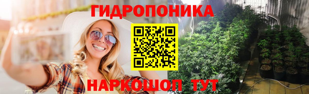 Шишки марихуана план Ишим